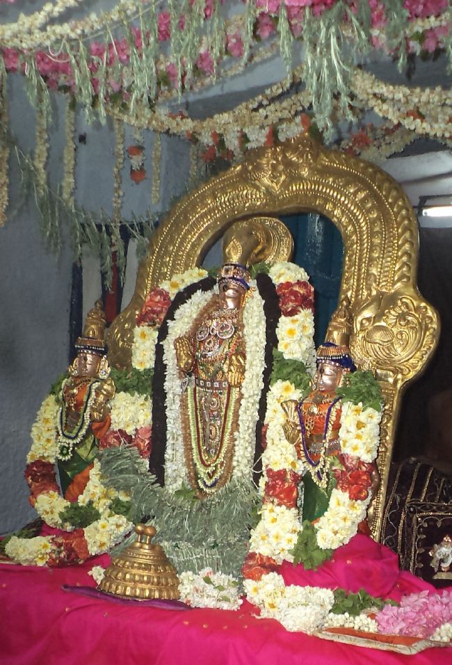 THiruvelukkai Sri Azhagiya Singaperumal sannadhi  Dhavanotsavam day 2 2015 -11