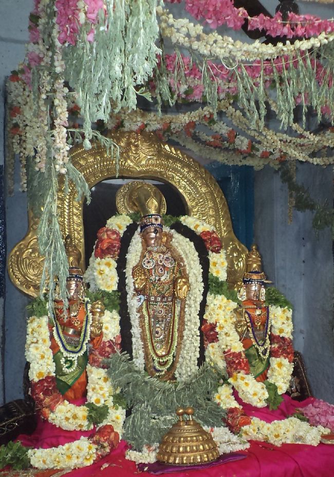 THiruvelukkai Sri Azhagiya Singaperumal sannadhi  Dhavanotsavam day 2 2015 -12