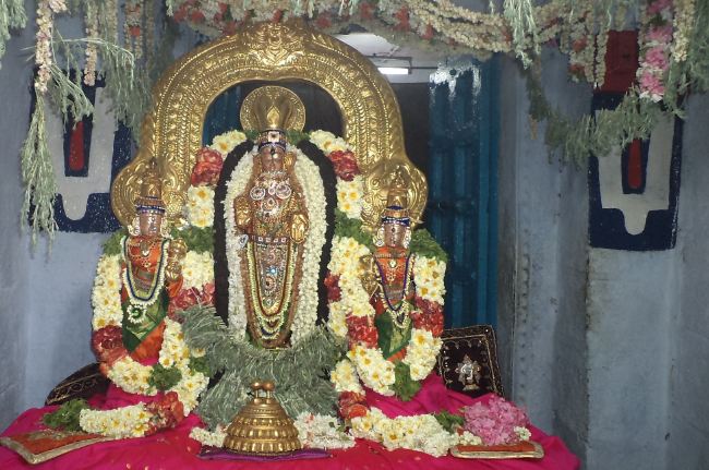 THiruvelukkai Sri Azhagiya Singaperumal sannadhi  Dhavanotsavam day 2 2015 -13