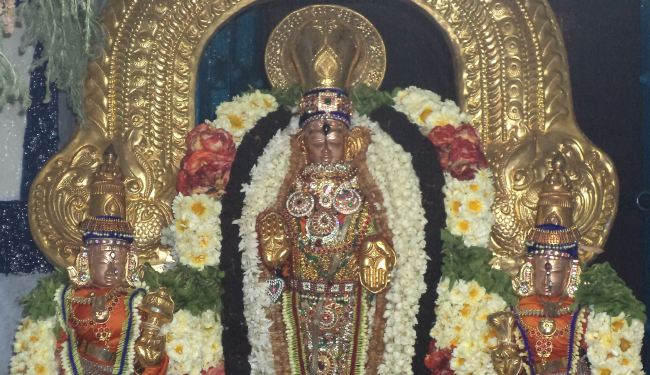 THiruvelukkai Sri Azhagiya Singaperumal sannadhi  Dhavanotsavam day 2 2015 -14