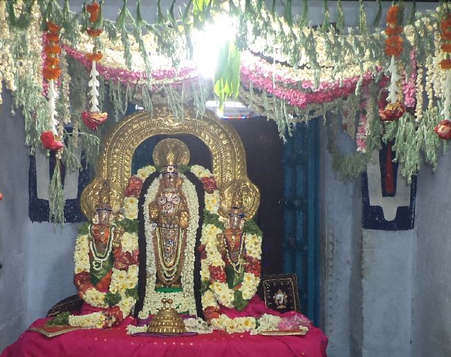 THiruvelukkai Sri Azhagiya Singaperumal sannadhi  Dhavanotsavam day 2 2015 -22