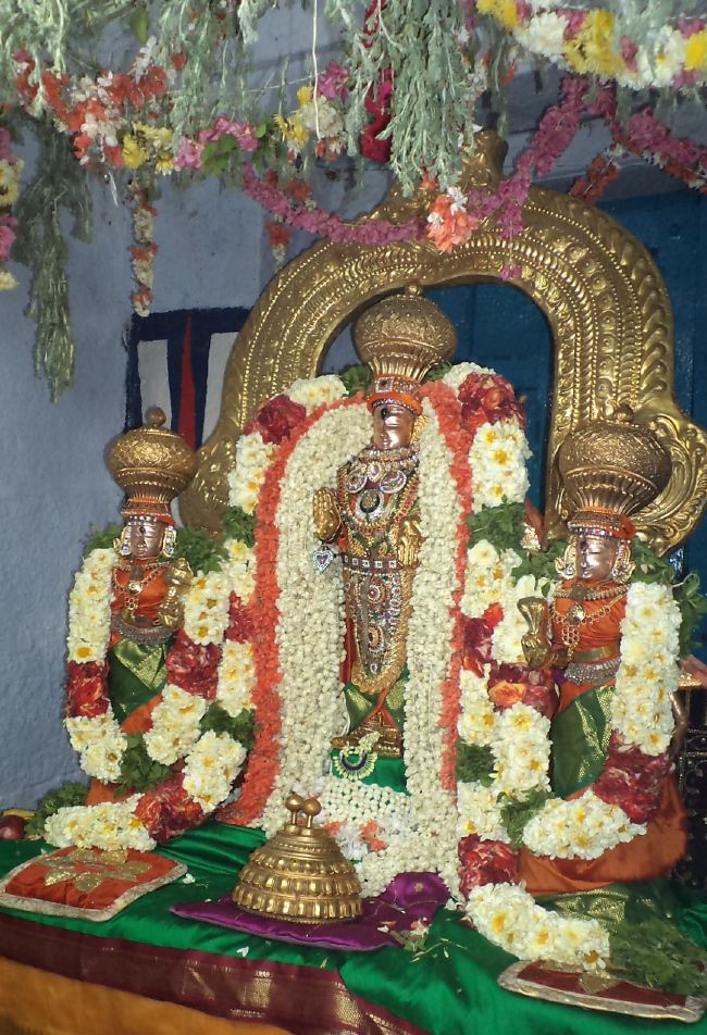 THiruvelukkai Sri Azhagiyasinga pErumal  Temple Dhavanotsavam day 1 2015 2015 -18