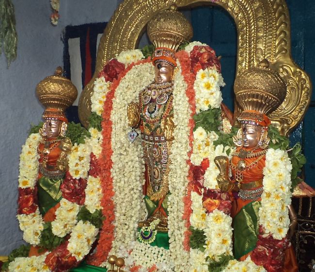THiruvelukkai Sri Azhagiyasinga pErumal  Temple Dhavanotsavam day 1 2015 2015 -19