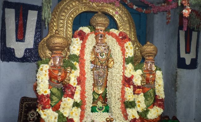 THiruvelukkai Sri Azhagiyasinga pErumal  Temple Dhavanotsavam day 1 2015 2015 -20