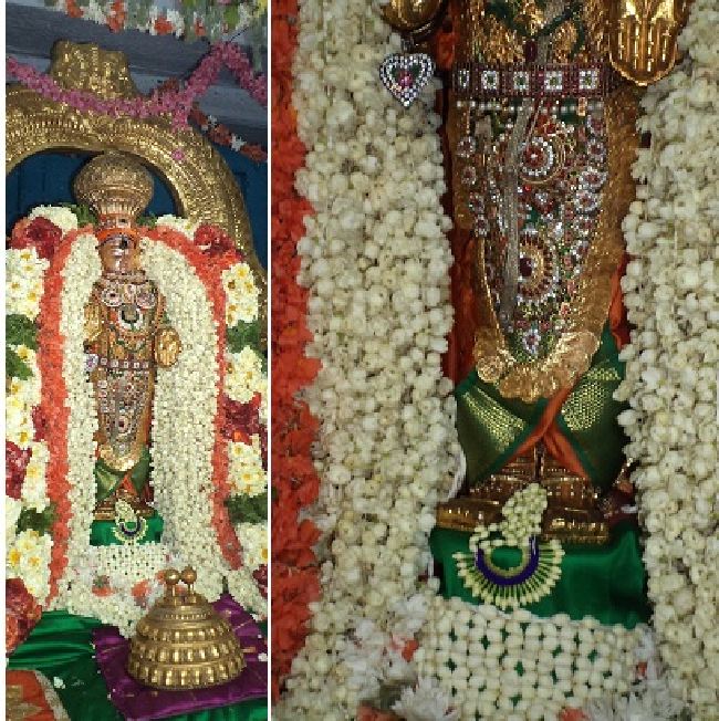 THiruvelukkai Sri Azhagiyasinga pErumal  Temple Dhavanotsavam day 1 2015 2015 -24