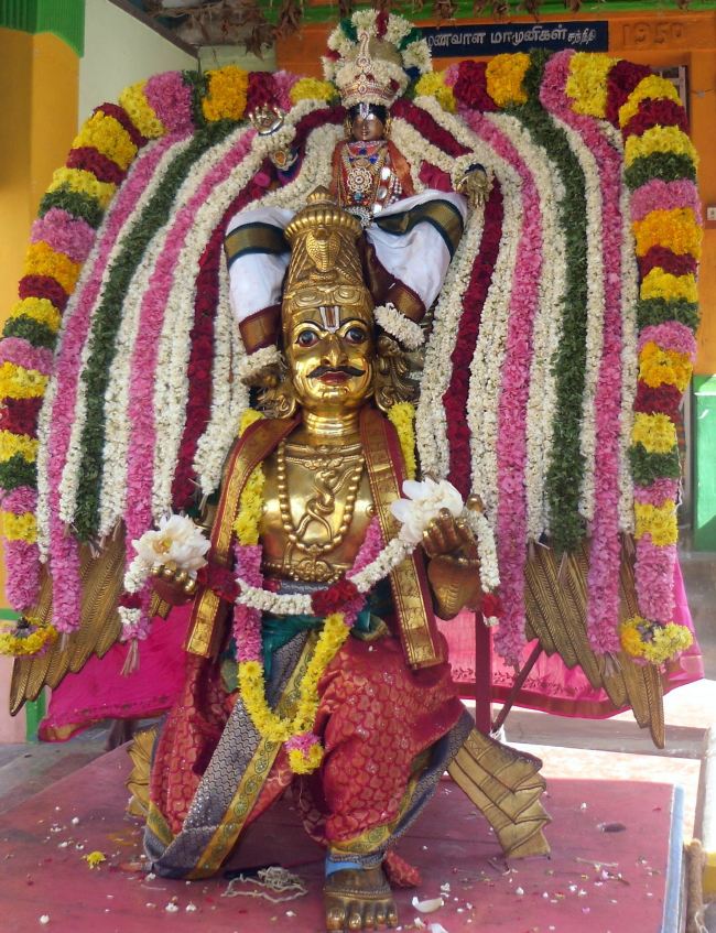 Thirukannamangai Sri Bhakthavatsaala Perumal Masi Maga Garuda Sevai 2015 -09