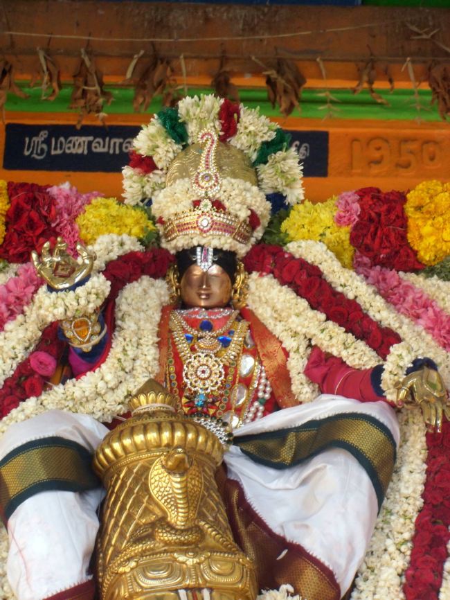 Thirukannamangai Sri Bhakthavatsaala Perumal Masi Maga Garuda Sevai 2015 -11
