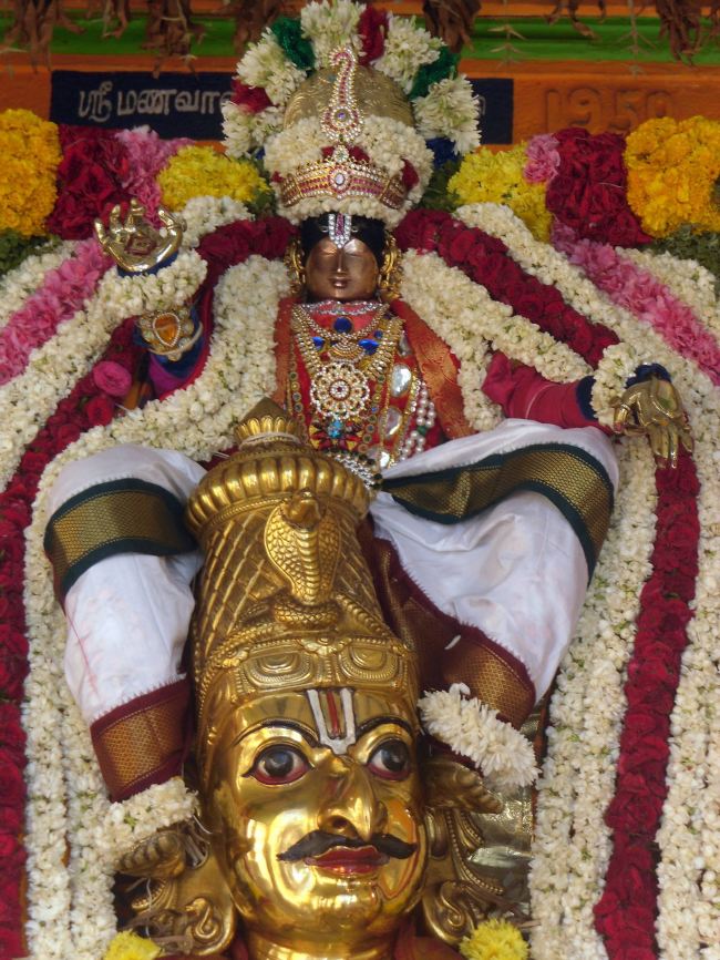 Thirukannamangai Sri Bhakthavatsaala Perumal Masi Maga Garuda Sevai 2015 -12