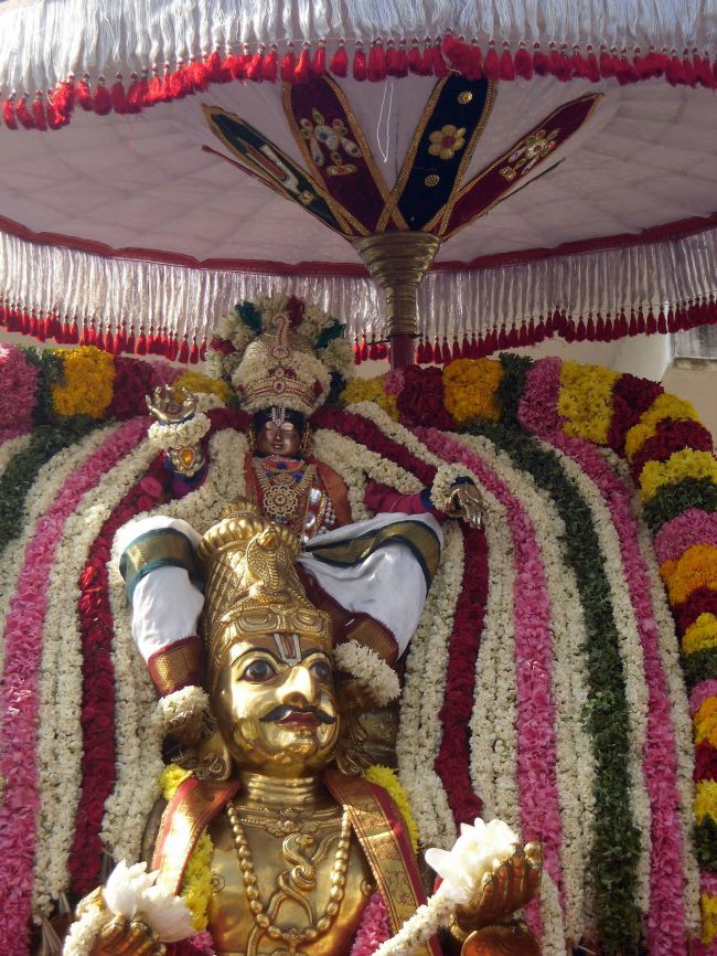 Thirukannamangai Sri Bhakthavatsaala Perumal Masi Maga Garuda Sevai 2015 -21