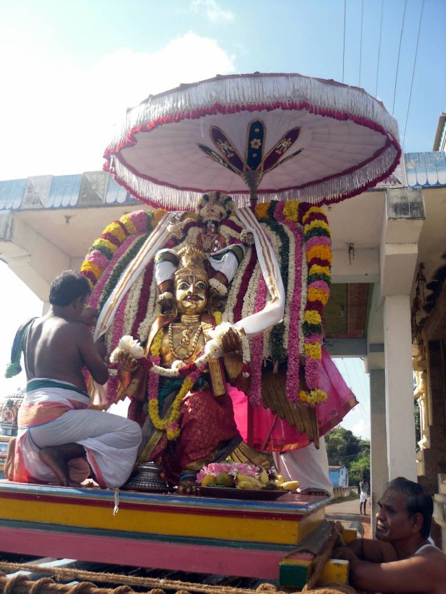 Thirukannamangai Sri Bhakthavatsaala Perumal Masi Maga Garuda Sevai 2015 -22