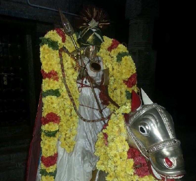 Thirumangai  Azhwar in kudhira vahanam