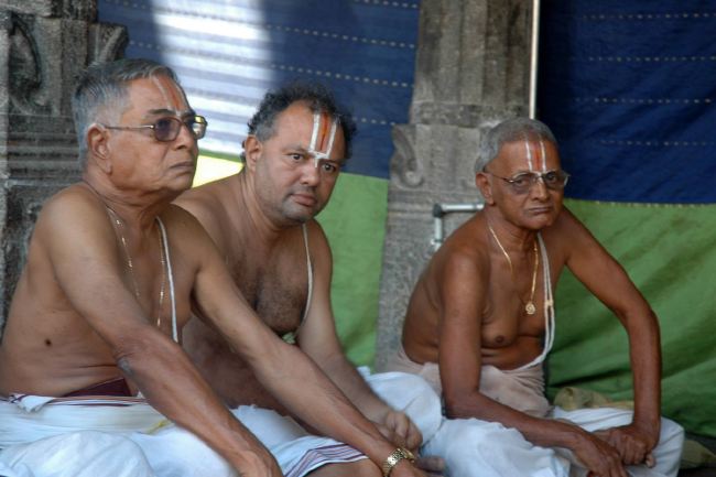 Thiruneermalai Ranganatha Perumal temple Dhavanotsavam and Periyazhwar Thirunakshatra Utsavam  2015 -02