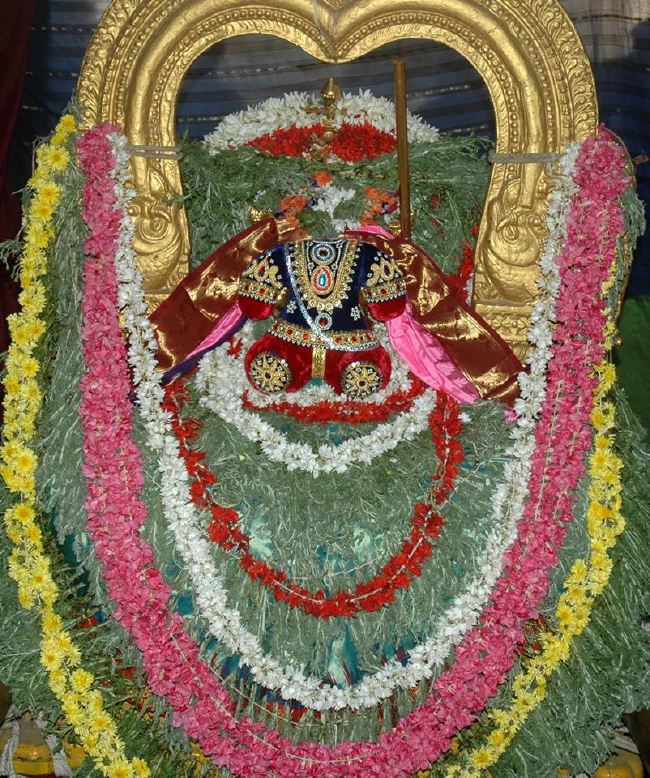 Thiruneermalai Ranganatha Perumal temple Dhavanotsavam and Periyazhwar Thirunakshatra Utsavam  2015 -03