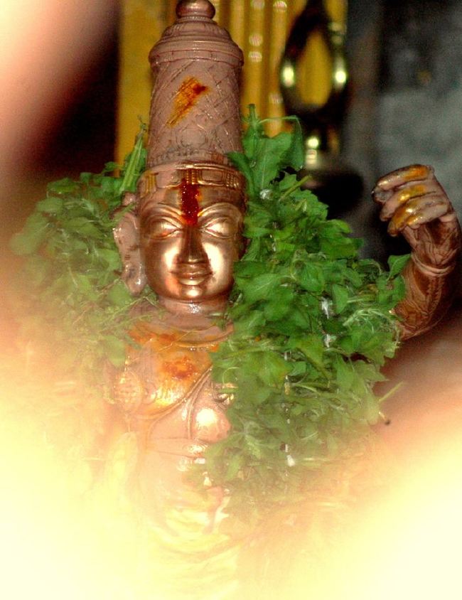 Thiruneermalai Ranganatha Perumal temple Dhavanotsavam and Periyazhwar Thirunakshatra Utsavam  2015 -08