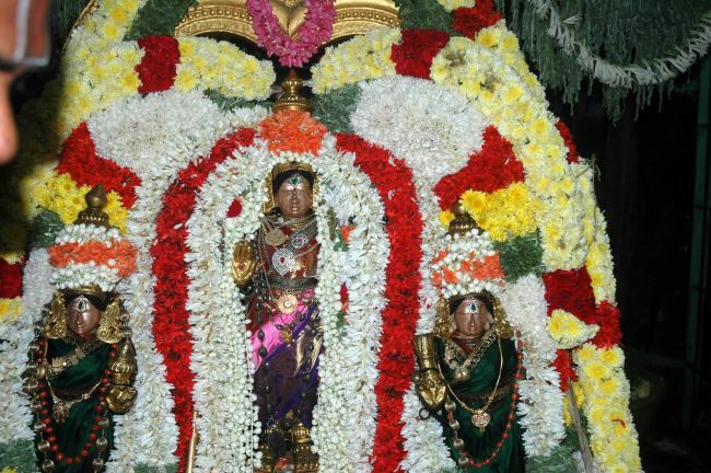 Thiruneermalai Ranganatha Perumal temple Dhavanotsavam and Periyazhwar Thirunakshatra Utsavam  2015 -10