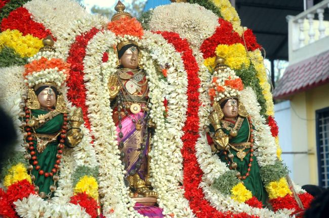 Thiruneermalai Ranganatha Perumal temple Dhavanotsavam and Periyazhwar Thirunakshatra Utsavam  2015 -11
