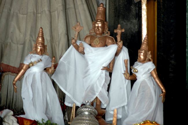 Thiruneermalai Ranganatha Perumal temple Dhavanotsavam and Periyazhwar Thirunakshatra Utsavam  2015 -12