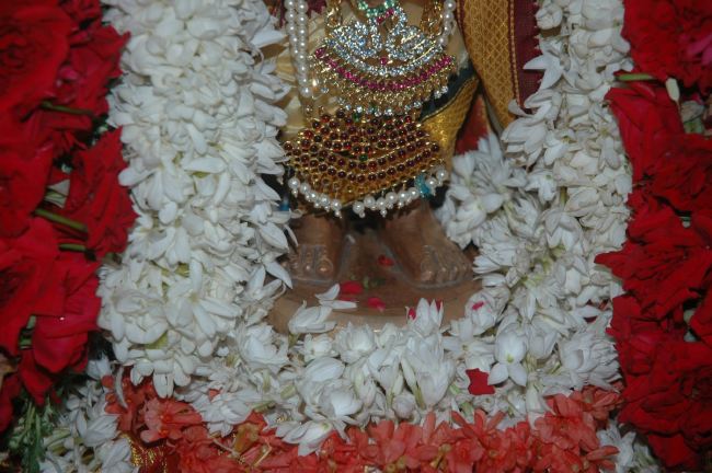 Thiruneermalai Ranganatha Perumal temple Dhavanotsavam and Periyazhwar Thirunakshatra Utsavam  2015 -13