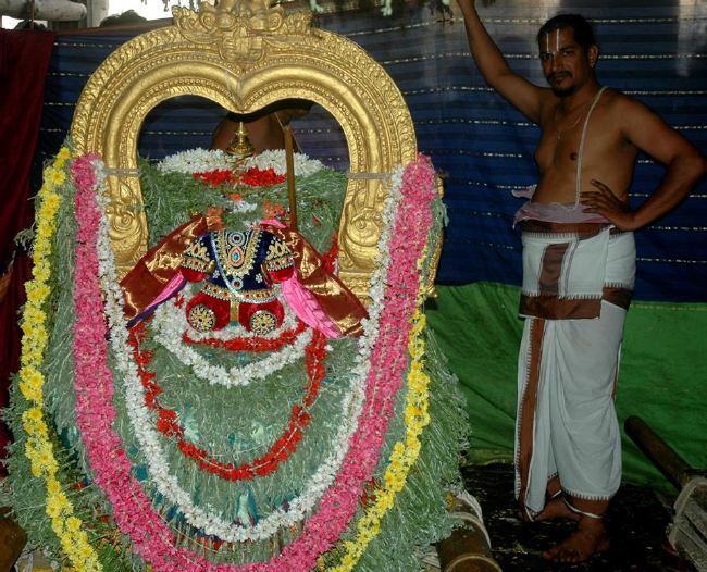 Thiruneermalai Ranganatha Perumal temple Dhavanotsavam and Periyazhwar Thirunakshatra Utsavam  2015 -15