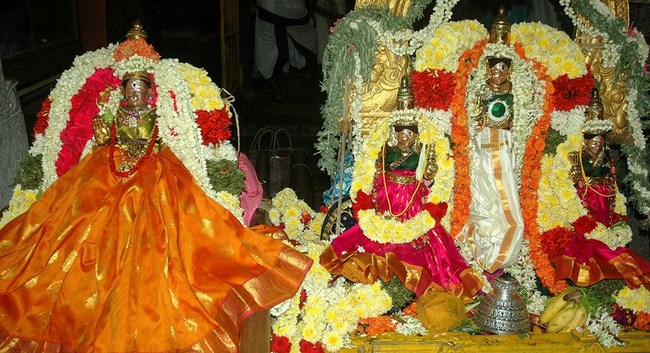 Thiruneermalai Sri Ranganatha Perumal Temple Animamalar Mangai Thayar Thirunakshatra Utsavam19