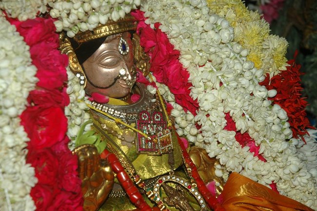 Thiruneermalai Sri Ranganatha Perumal Temple Animamalar Mangai Thayar Thirunakshatra Utsavam25