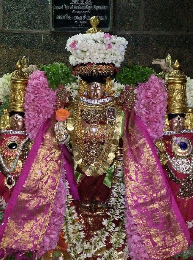Thiruvahindrapuram Masi Saturday Pancha Parvam   2015 -4