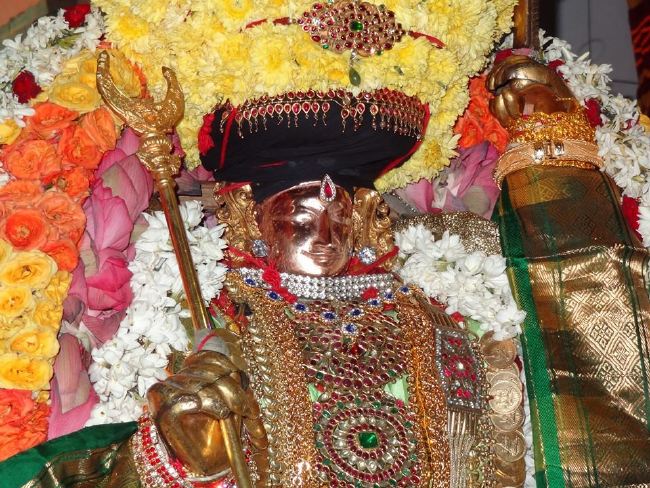 Thiruvahindrapuram Sri Devanatha Perumal Kovil Kulasekara azhwar thirunakshatra  Utsavam  2015 -02