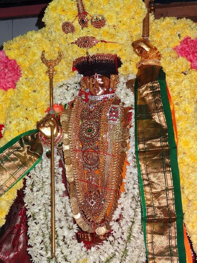 Thiruvahindrapuram Sri Devanatha Perumal Kovil Kulasekara azhwar thirunakshatra  Utsavam  2015 -13