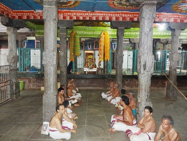Thiruvahindrapuram Sri Devanatha Perumal Kovil Kulasekara azhwar thirunakshatra  Utsavam  2015 -20