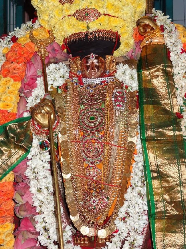 Thiruvahindrapuram Sri Devanatha Perumal Kovil Kulasekara azhwar thirunakshatra  Utsavam  2015 -27