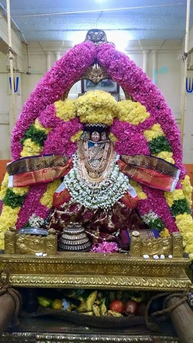 Thiruvahindrapuram Sri Devanathan Perumal Panguni Sravana Purappadu1