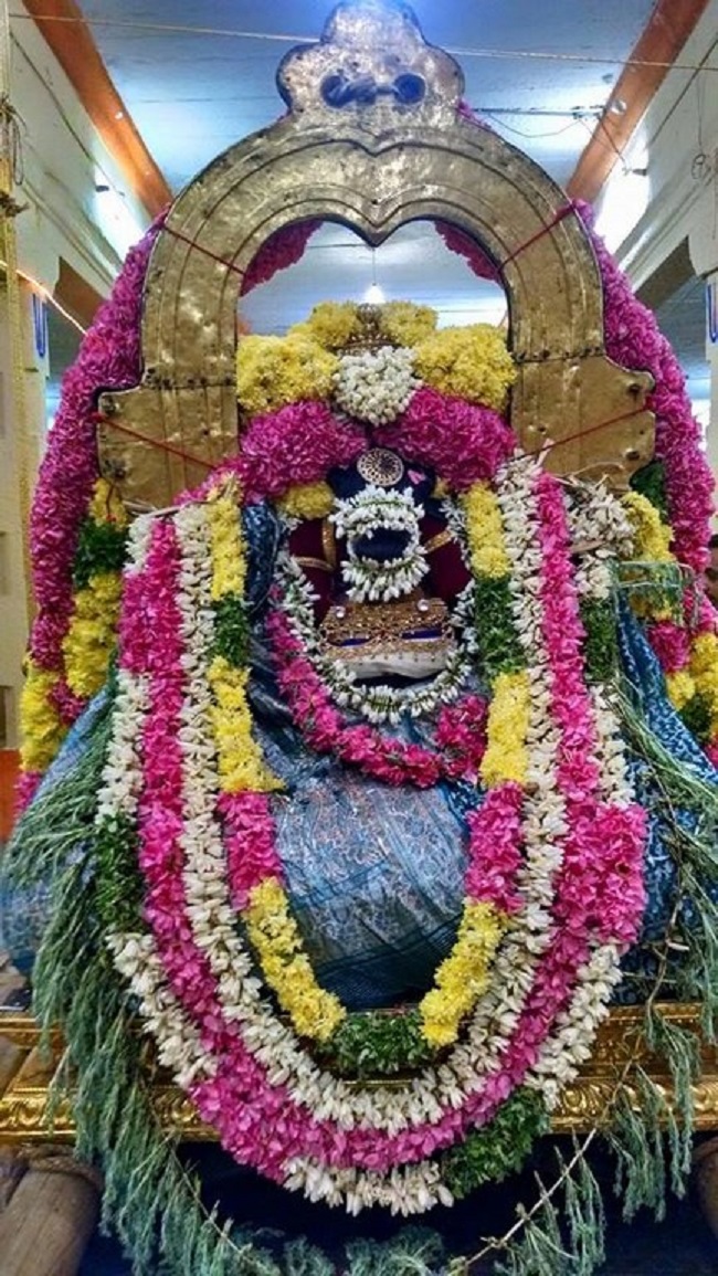 Thiruvahindrapuram Sri Devanathan Perumal Panguni Sravana Purappadu4