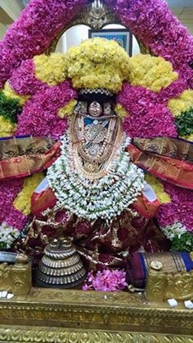 Thiruvahindrapuram Sri Devanathan Perumal Panguni Sravana Purappadu5