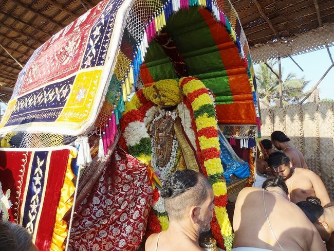 Thiruvahindrapuram Sri Devanathan Perumal Temple Masi Magam Utsavam17