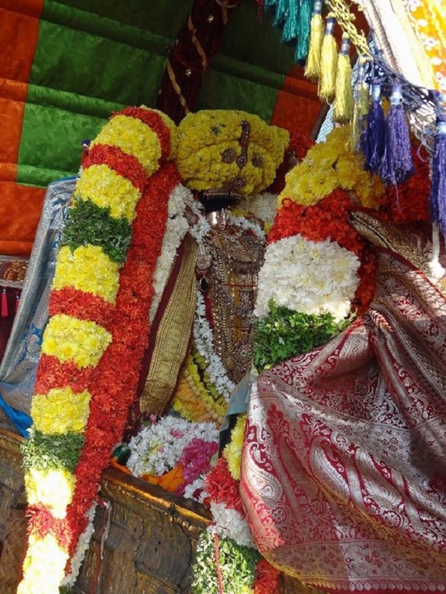 Thiruvahindrapuram Sri Devanathan Perumal Temple Masi Magam Utsavam3