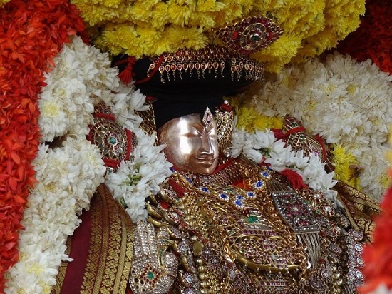 Thiruvahindrapuram Sri Devanathan Perumal Temple Masi Magam Utsavam8