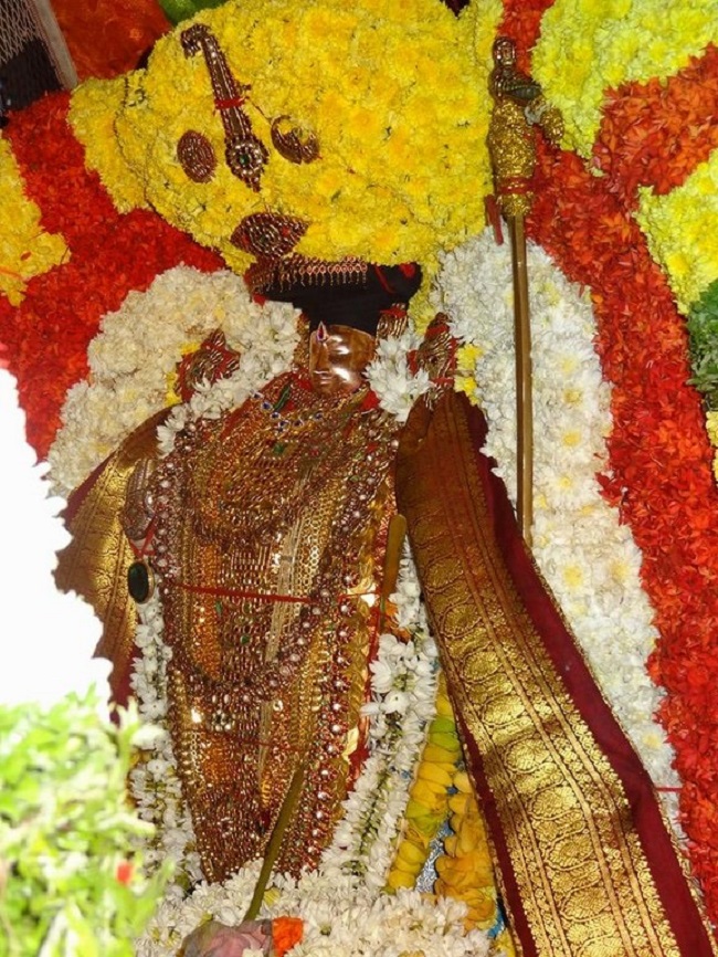 Thiruvahindrapuram Sri Devanathan Perumal Temple Masi Magam Utsavam9