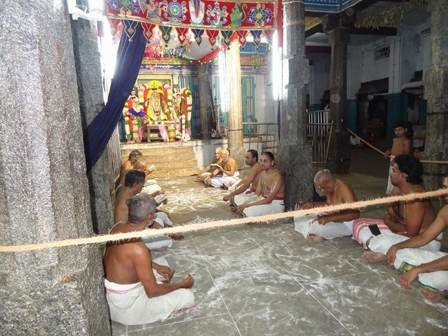 Thiruvahindrapuram Sri Devanathan Perumal Temple Sri Rama Navami Utsavam10