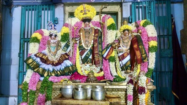 Thiruvahindrapuram Sri Devanathan Perumal Temple Sri Rama Navami Utsavam3