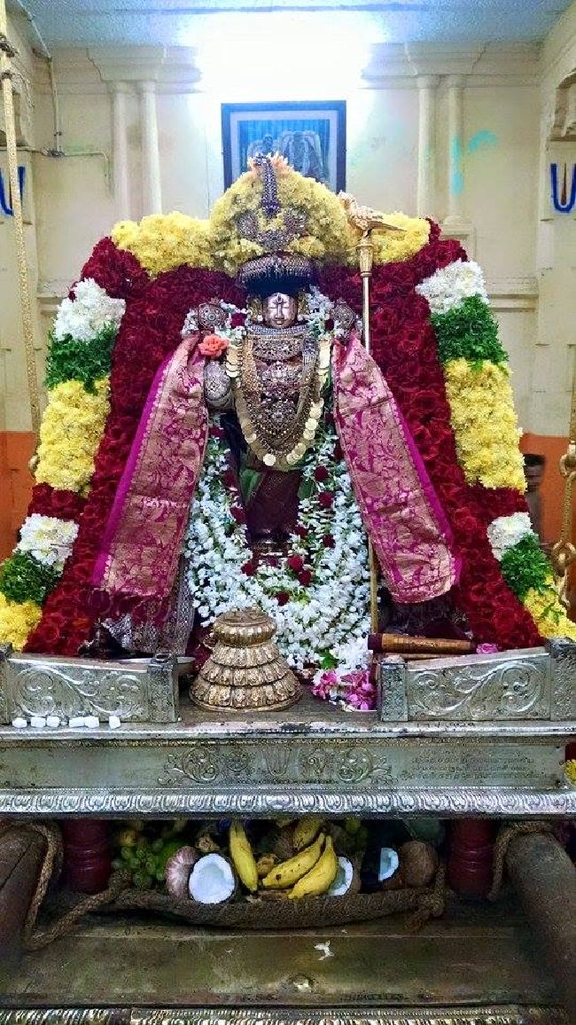 Thiruvahindrapuram Thirukachi Nambi Thirunakshatra Utsavam  2015 -4