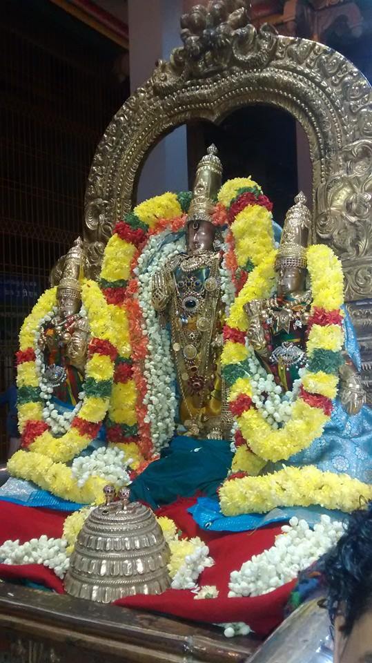Thiruvallur Sri Veeraraghava Perumal Temple Ammavasai Purapadu 20-03-2015  06
