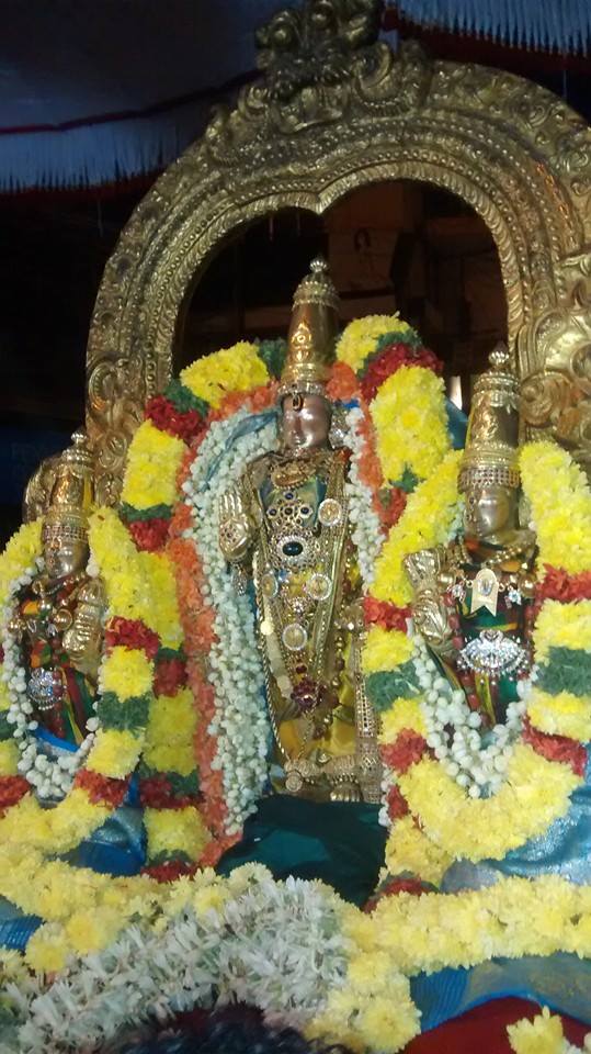 Thiruvallur Sri Veeraraghava Perumal Temple Ammavasai Purapadu 20-03-2015  09