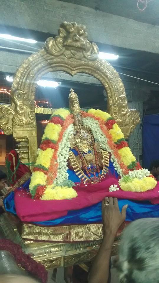 Thiruvallur Sri Veeraraghava Perumal Temple Ammavasai Purapadu 20-03-2015  11