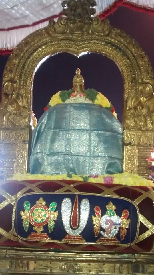 Thiruvallur Sri Veeraraghava Perumal Temple Ammavasai Purapadu 20-03-2015  16