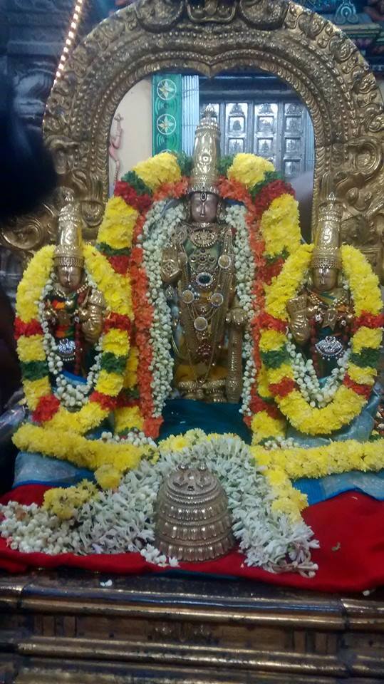 Thiruvallur Sri Veeraraghava Perumal Temple Ammavasai Purapadu 20-03-2015  18
