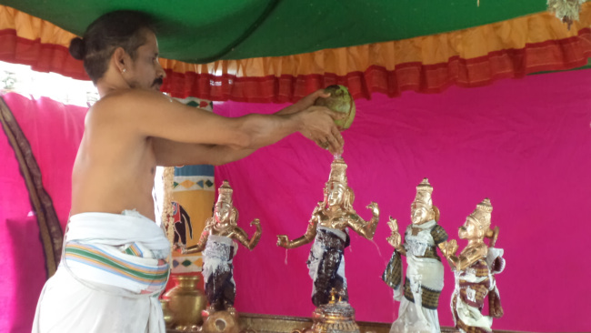 Thiruvellukai _Sri Ramanavami  (1)