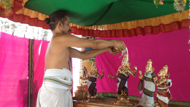 Thiruvellukai _Sri Ramanavami  (14)