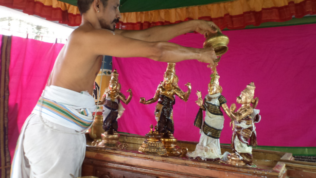 Thiruvellukai _Sri Ramanavami  (2)