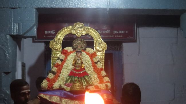 Thiruvelukkai Masi Kadai Velli Thayar Purappadu 2015 -02