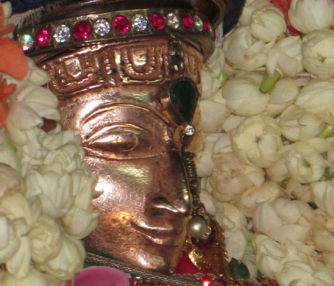 Thiruvelukkai Masi Kadai Velli Thayar Purappadu 2015 -13
